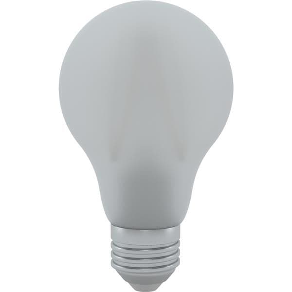 Lampe Led filament en verre A65 10W E27 mat 3000K WW non dimmable vue 1