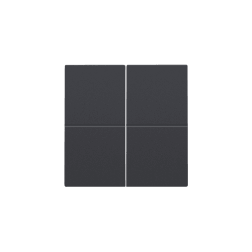 Clé double, pour variateur sans fil (Hue®, Bluetooth®, EnOcean®, KNX®), couleur anthracite coated vue 1