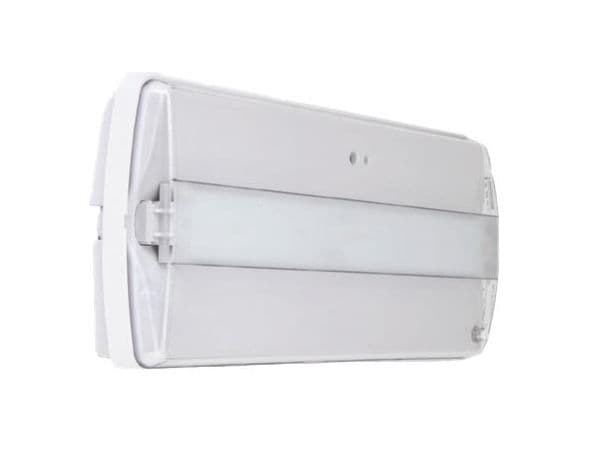 Step Led 20 Led 240lm 1h non permanent + bouton test vue 1