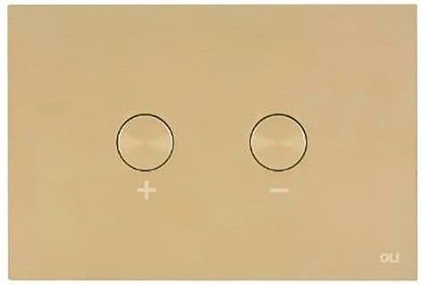 PLAQUE DE COMMANDE 2-TOUCHES BLINK PNEUMATIQUE WHITE GOLD + SET DE TRANSFORMATION vue 1