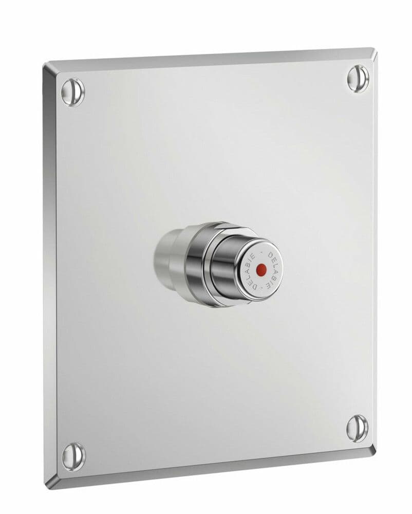 Delabie Tempostop robinet temporisé à poussoir pour douche modèle à encastrer vue 1