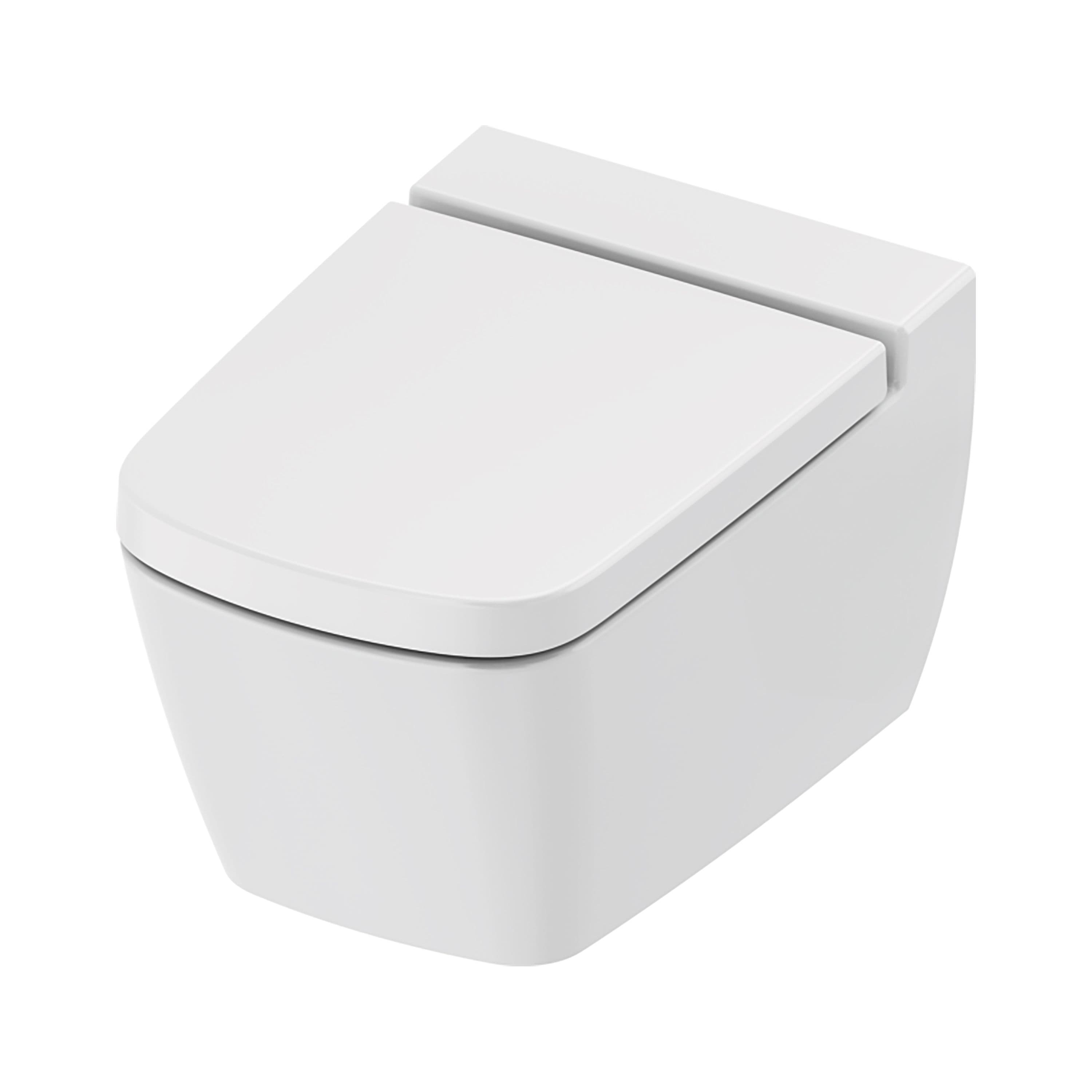 TECENEO TOILET SUSPENDU AVEC BIDET - AVEC MITIGEUR DE BIDET - EAU FROIDE - AVEC ABATTANT - 54 CM - BLANC BRILLANT vue 1