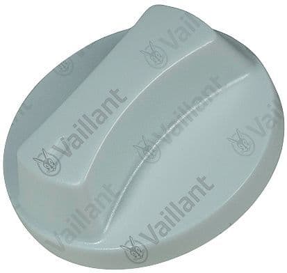 BOUTON VAILLANT vue 1
