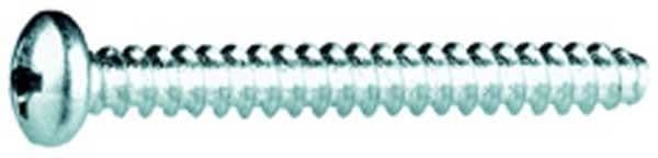 Sachet de 100 vis longueur 25mm pour blochets Reddy vue 1