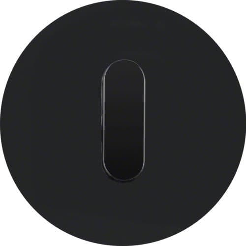 Plaque de recouvrement avec manette pour interrupteur rotatif / poussoir Serie R.classic Verre, Noir vue 1