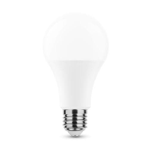 Lampe Smart lightting Led globe A65 18,5W E27 270° 4000K (1900 lumen) vue 1