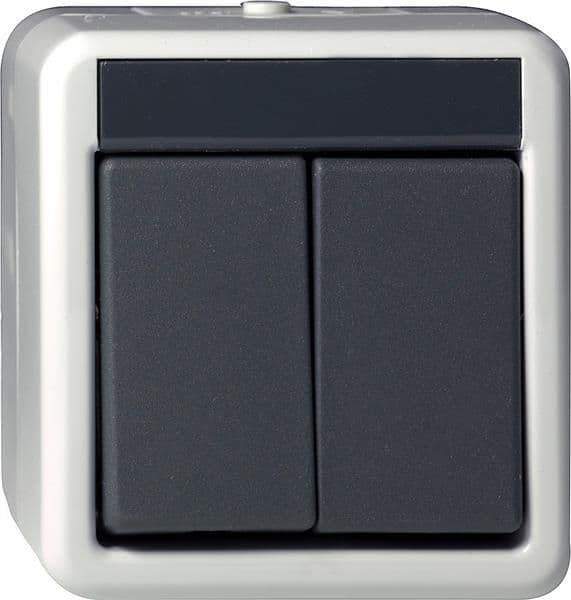 Bouton-poussoir à bascule 10A 250V~ Gris B-P double - plastique: thermoplastique sans halogène, vue 1