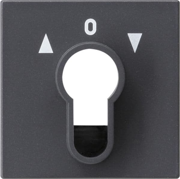 Cache pour interrupteur à clé et bouton-poussoir à clé Anthracite vue 1