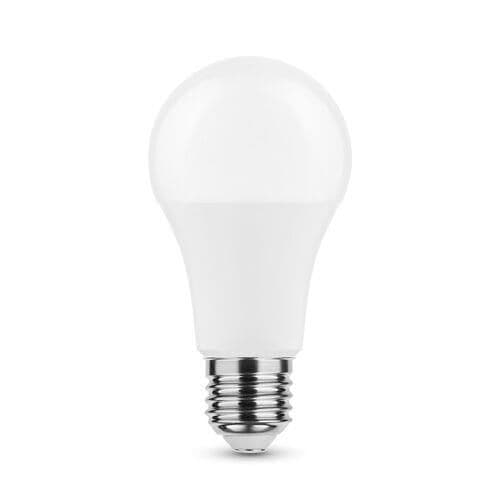 Lampe Smart lightting Led globe A65 13W E27 270° 2700K (1350 lumen) vue 1