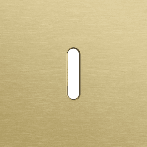 Plaque de recouvrement simple, pour des fonctions de commutation simple, couleur Niko Rocker alu gold brushed vue 1