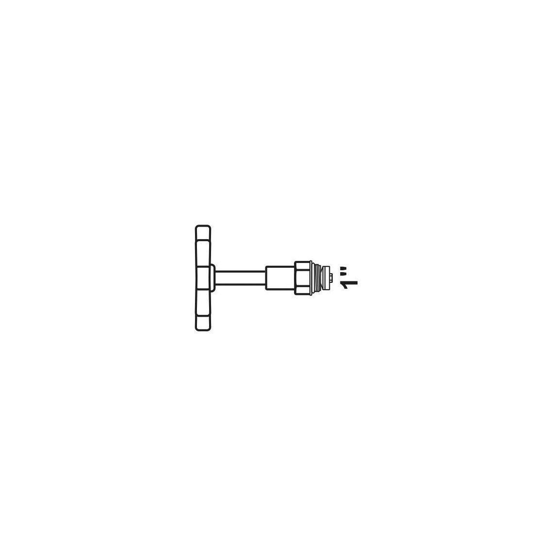 989193255 tête, avec longue broche, pour vanne KFR 1" vue 2