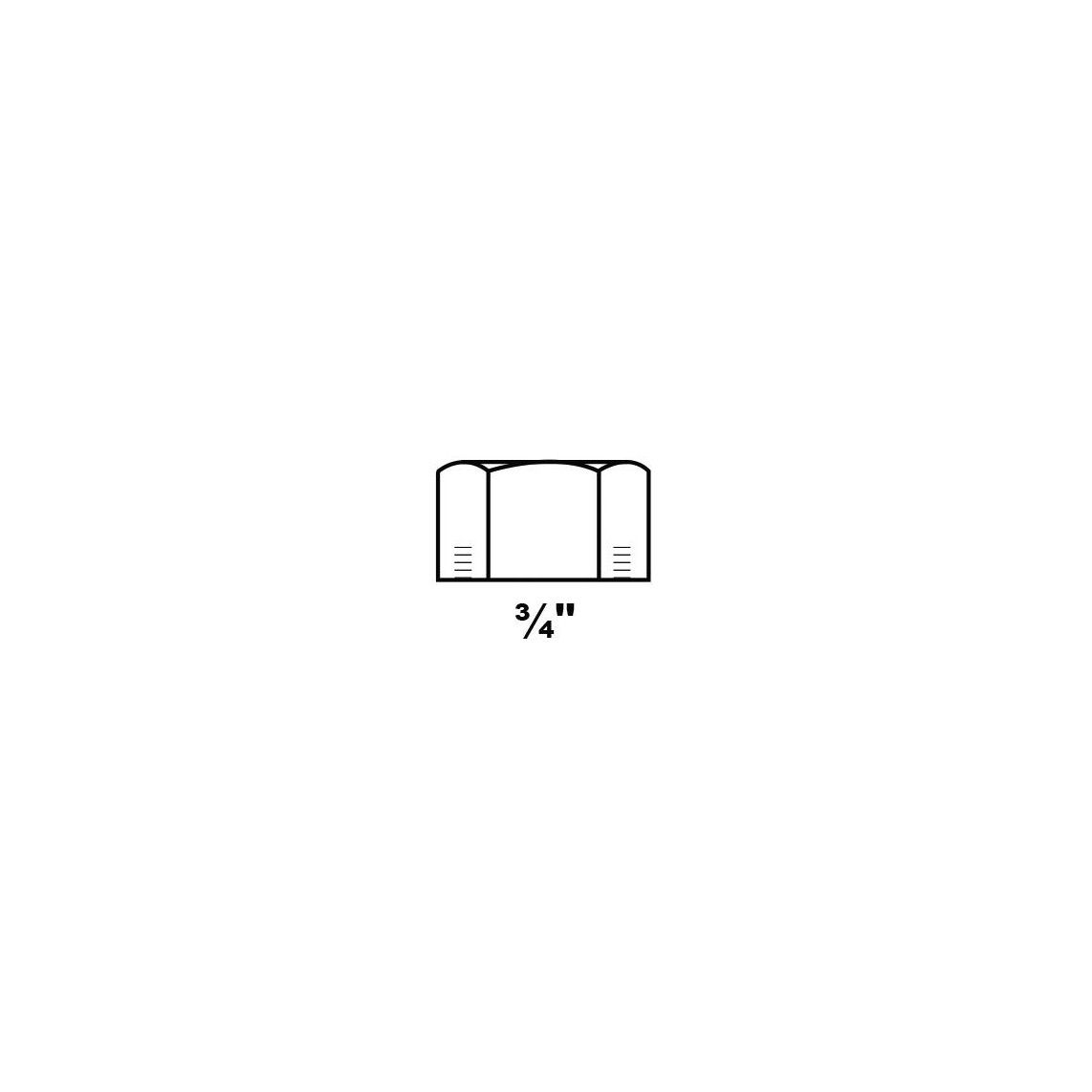 989812055 FM bouchon, galvanisé, 3/4" F, (300) vue 2