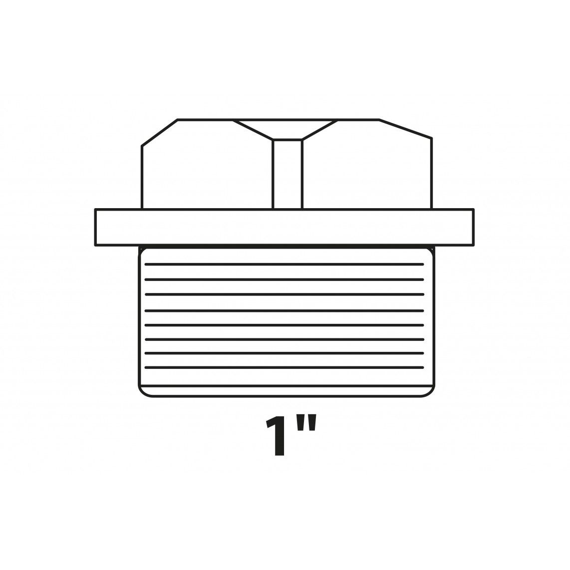988958413 BR bouchon, vierge, 1" M, (3290) vue 2