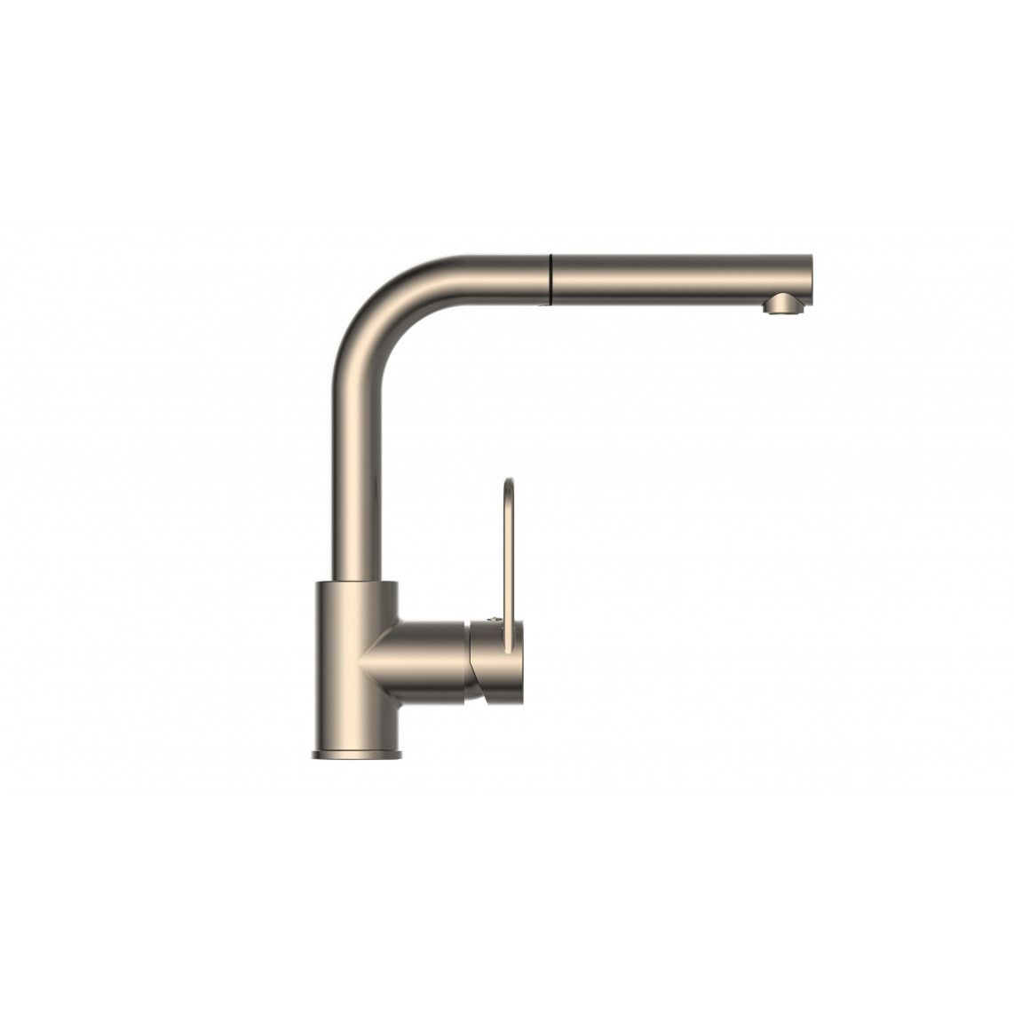 26238 DESIGN RING Keukenkraan, RVS, met uittrekbare vaatdouche vue 2